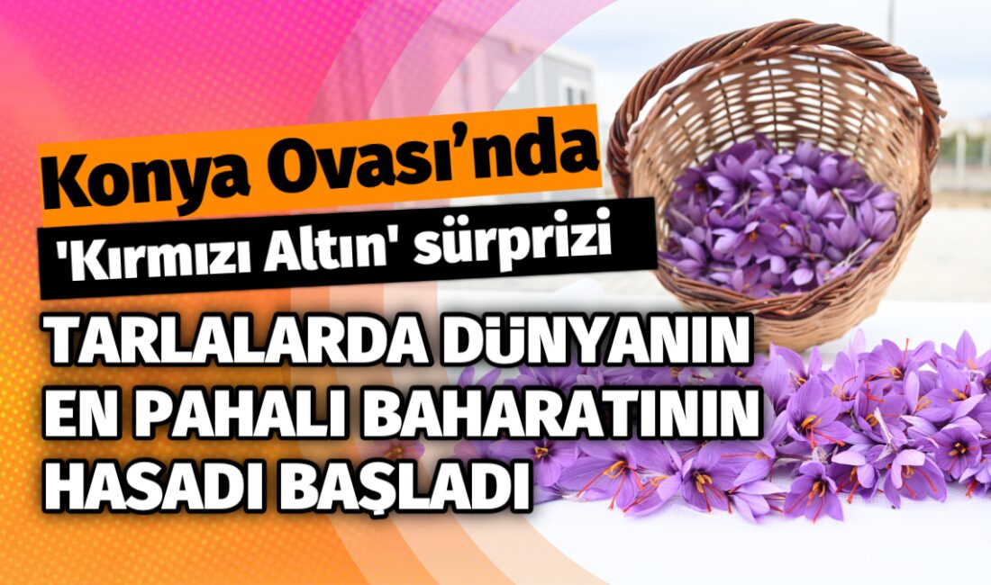 Türkiye'nin tahıl ambarı olarak bilinen ve kuraklıkla mücadele eden Konya
