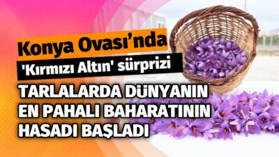 Türkiye'nin tahıl ambarı olarak bilinen ve kuraklıkla mücadele eden Konya